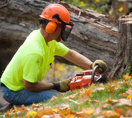 tree services New Troy